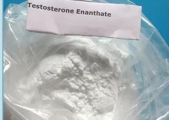 Anabolic स्टेरॉयड पाउडर 99% टेस्टोस्टेरोन Enanthate पाउडर मांसपेशियों के निर्माण के लिए इस्तेमाल 315-37-7